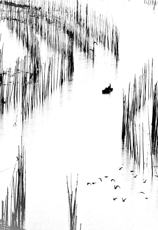 Fishing In The Ocean 2 - Xiapu - China