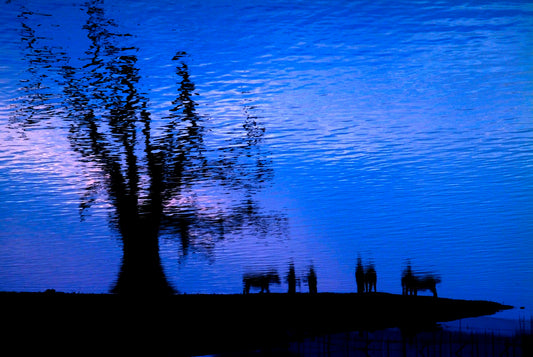 Water Poetry, Bagan - Myanmar